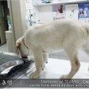 캡틴게임장 이미지