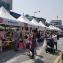 조천변 벚꽃길 이미지