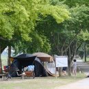 송호관광지 이미지