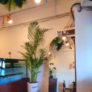 은하다방 이미지