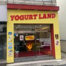 신광초등학교 | [제주 디저트 맛집] 제주 요거트랜드 본점 방문 후기