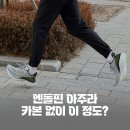 엔돌핀 | 써코니 엔돌핀 아주라 실착 리뷰 및 사이즈 후기