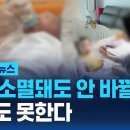 나라 소멸돼도 안 바뀔 듯…원해도 못한다 / SBS / 대표에 육아휴직 꺼냈다가 "여기가 대기업? 퇴직해라" 이미지