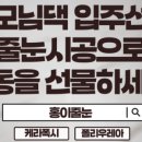 홍이줄눈 네이버블로그