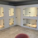 선사애견 이미지