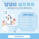 레오나르독 | [레오나르독] 양주 서울근교 대형견 전용 운동장, 수영장 후기🩵🩵