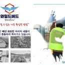 장안제일고등학교 네이버블로그