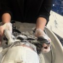 신남케어 | 「천안 탈모 CSLMGF 두피탈모센타 신불당점」 신불당동 두피케어 받고 광명 찾았다