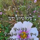 지혜중고등영어 이미지