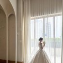 [Wedding] 본식 아이폰 스냅 계약 후기 / 르무드 / 르비에 / 아이폰 스냅 / 아이폰 스냅 추천 / 르무드...