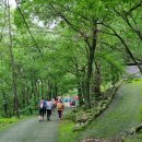 원동자연휴양림(양산) 이미지