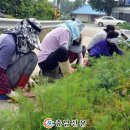 사기소1통 이미지