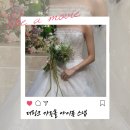 더링크호텔 가든홀 아이폰스냅 비교(비밀의화원, 오브드문, 치즈앤버터, 마이디어, 메이븐, 스태리스냅)