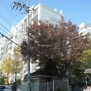 감일현대공인중개사사무소 이미지