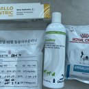 분당 피엘 동물피부클리닉 이미지