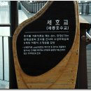 세종호수공원 산책로 이미지