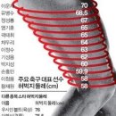 나 손흥민이랑 허벅지둘레 똑같은거 실화냐 이미지