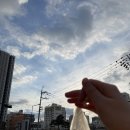 댕냥이슈퍼마켓 - 은평구 불광로2길 2 | 댕냥이슈퍼마켓