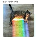 [2025년 1분기] 일본 워킹홀리데이 합격 (D-???)