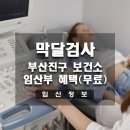 수영구 장애인협회 | 임신기록｜부산진구 모자건강증진 사업 임산부 혜택(백일해,막달검사 무료)