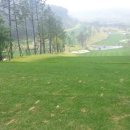 파가니카C.C 이미지