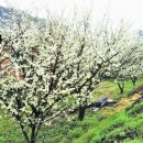 청해펜션 이미지