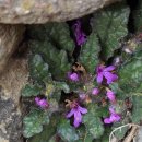 금창초교 이미지