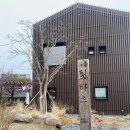 강릉 툇마루 커피 바우 커피 평일 웨이팅 더 현대 서울 툇마루 팝업 후기