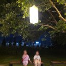 우리동네 감천 | 화명생태공원 별바다부산 나이트마켓