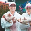 봉영농장 이미지