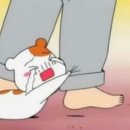 탐리