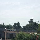 2457 | [제주 중문 맛집] 제주도 핑크뮬리가 예쁜 중문고등어쌈밥 후기