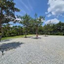 삼화리 동광 캠핑장 이미지