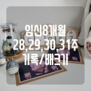 똥광PC | 임신 8개월 28주 29주 30주 31주 기록 / 배크기 / 증상 / 태동