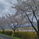 금강수변공원(대평동) 이미지