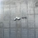 신효동-25 | 제주가족여행 서귀포 가볼만한 곳 자연주의 정원겸 카페 '베케'