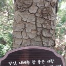 인생산길ㅡ맺힐땐 덮어버리고 걸으면 풀린 고마운 백양-금정산길(9.18)ㅡ대공원~호수변~바람고개~약수터~만남의숲~만덕고개~금정숲길~만덕역 이미지