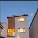 월령솔가 이미지