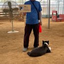 원반농장 이미지