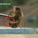 코리아헌터 이미지