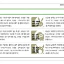 동양일보 소식(3월5일 오늘의 운세) 이미지