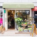 플로리스트윤지