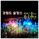 하늘숲황토펜션 이미지