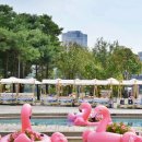 뚝섬한강공원-14 이미지