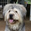 백선 | 일산미용실 준오헤어 가든원마운트 백선 디자이너 주니어 커트 솔직 후기｜아이 머리 고민 끝