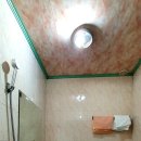 진흥민박 이미지