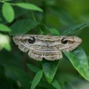 십이폭포로 이미지