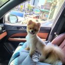 뭉치뭉치