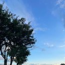 카페다올 이미지