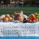 청구초등학교 이미지